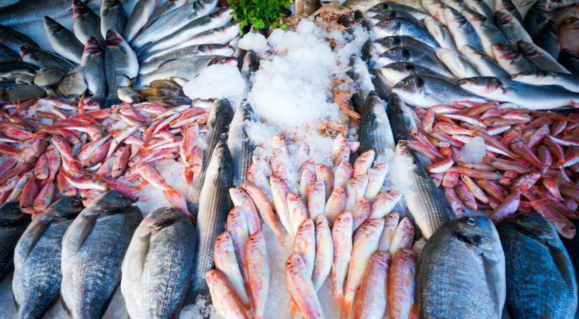 a importancia dos lacres metalicos na industria dos pescados