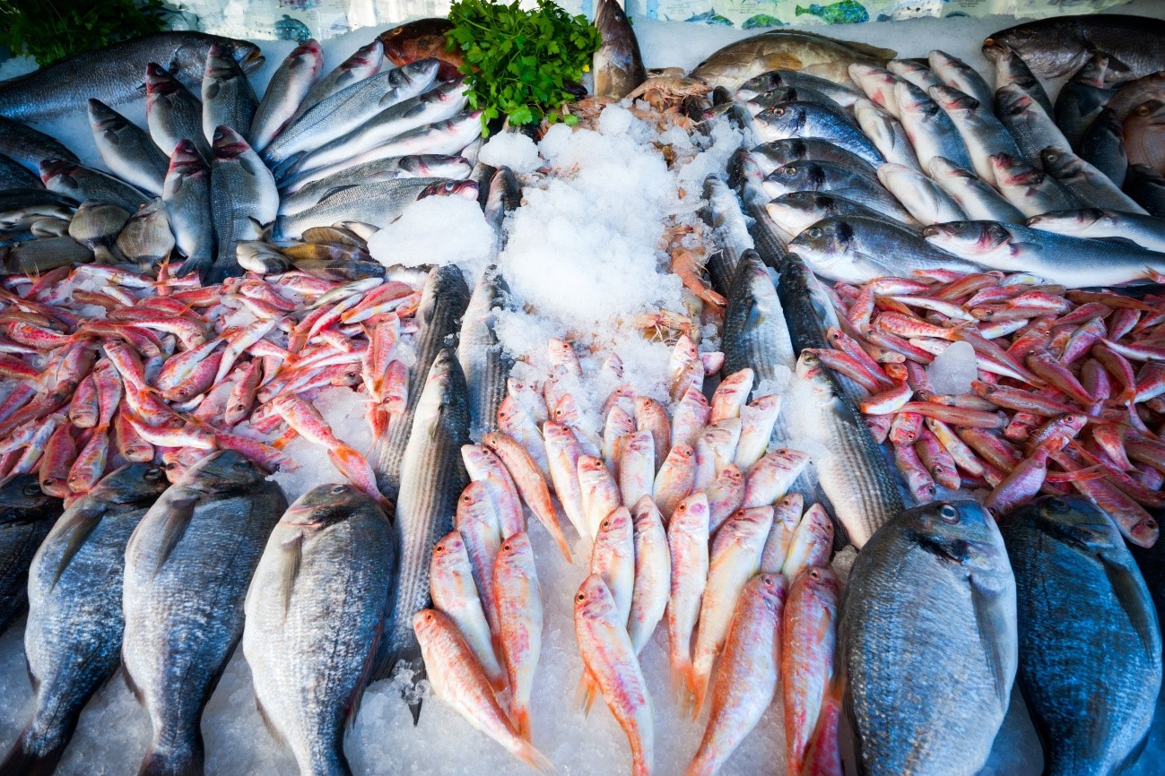 a importancia dos lacres metalicos na industria dos pescados