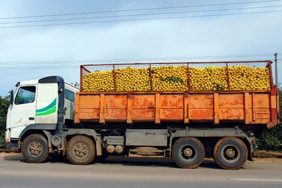 Transporte de laranja